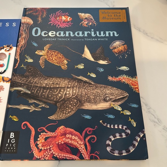 Ocean Books Kids Hardback - Picture 3 of 5